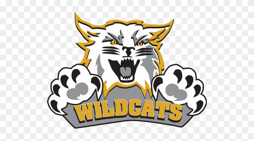 Weber State Wildcats #653308