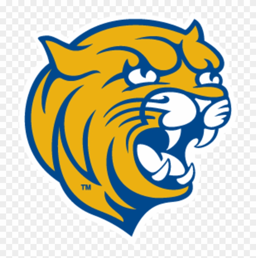 Jwu Charlotte Logo - Johnson And Wales Wildcat #653312