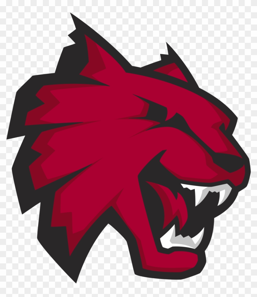 Central Washington University Mascot #653454