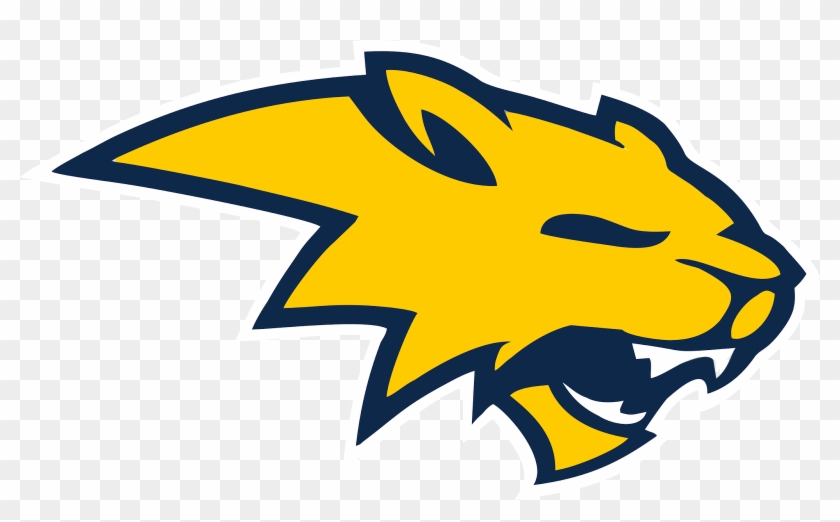 Neuqua Valley High School Logo #653475