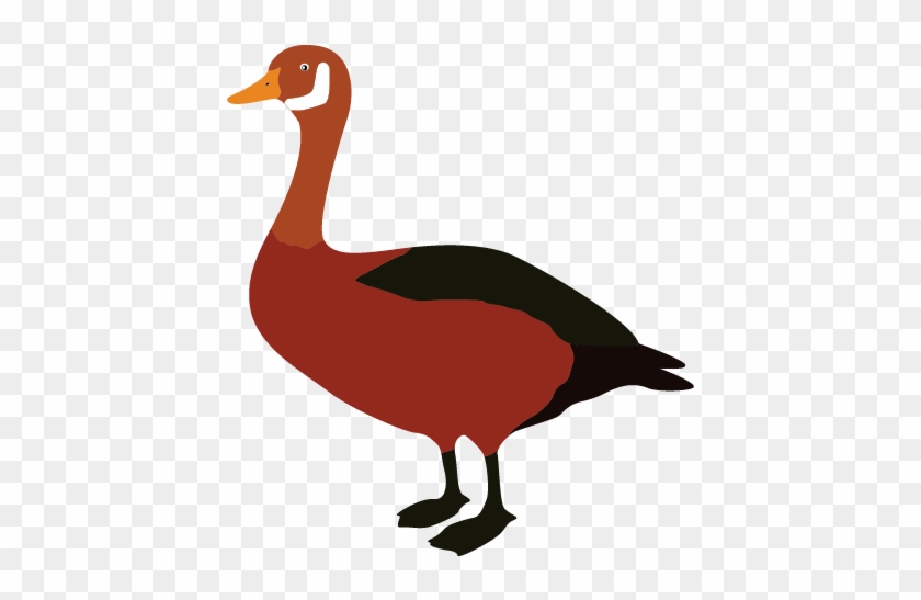 Cartoon Goose Clipart Animal Clip Arts Ngycd6 Clipart - Clip Art #654589