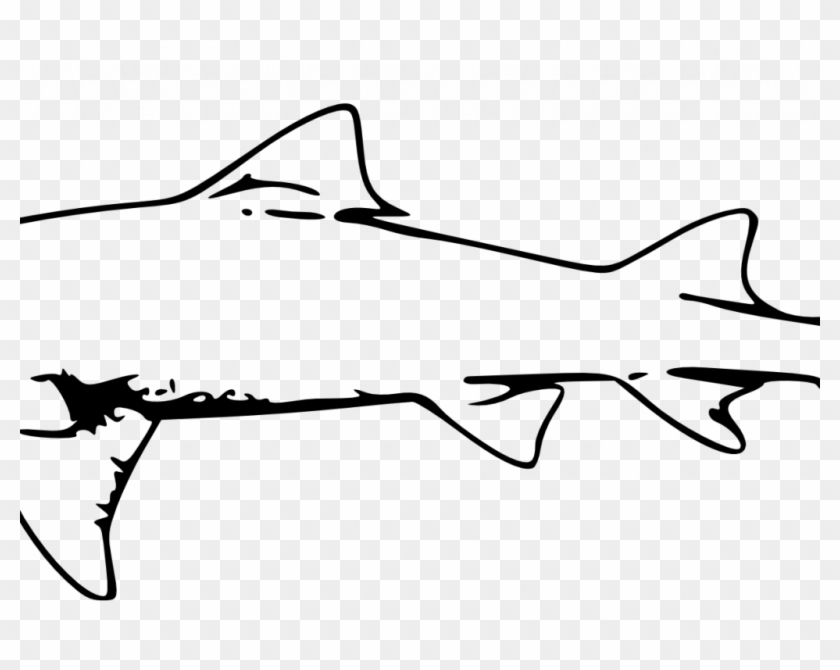 Download Best Great White Shark Outline - Download Best Great White Shark Outline #654706