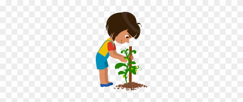 Vine - Ways Of Taking Care Of Plants Clip Art #655202