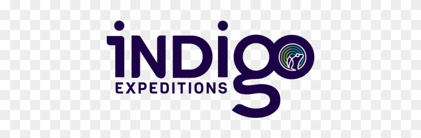 Indigo Expeditions - Graphic Design #655686