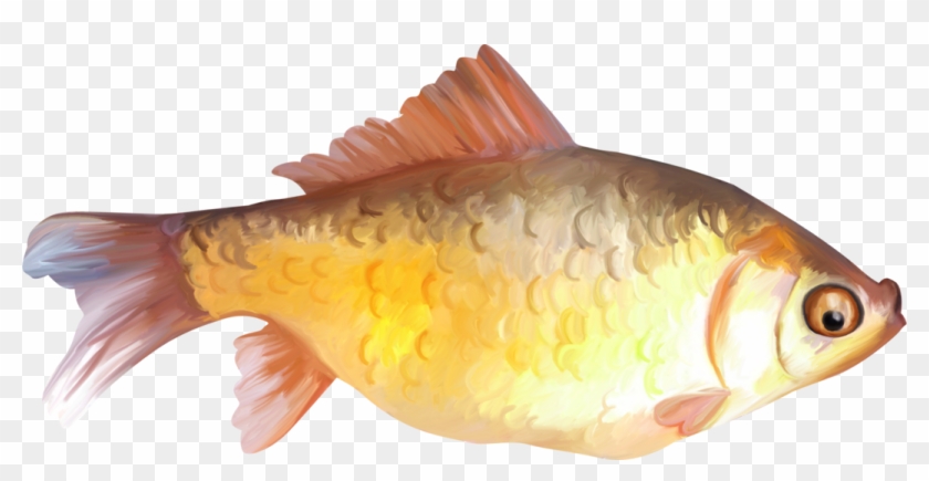 Painted Fish Clipart - Fish Painting Png #656070