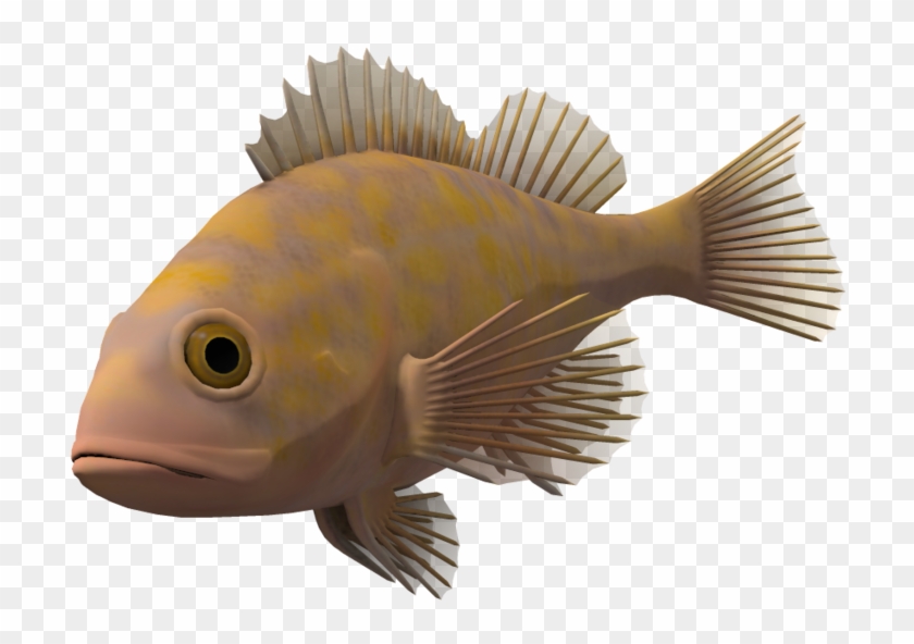 Ocean Fish Png Image - Transparent Background Transparent Fish #656123