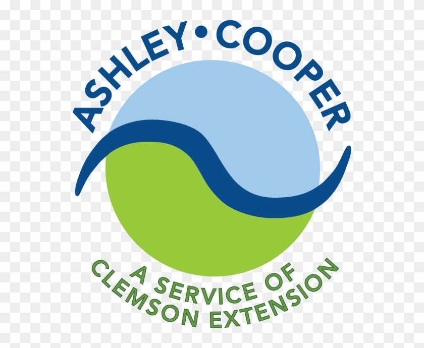Ashley Cooper Stormwater Education Consortium - Ashley Cooper #656195
