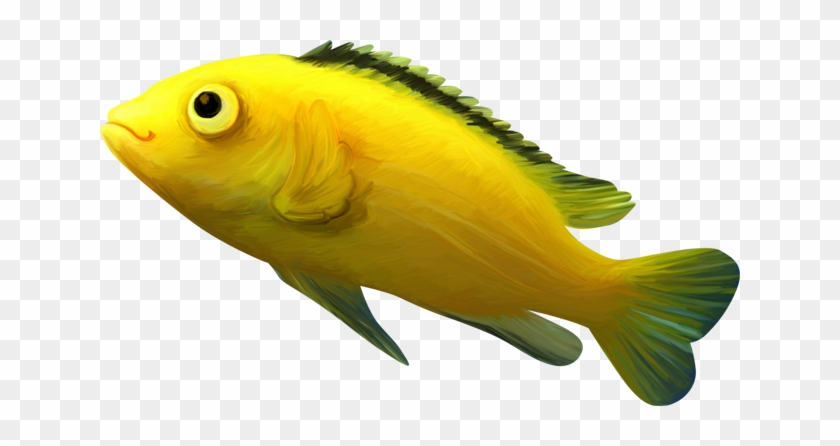 Fire Fish Carp Jumping Fish Png And Psd File For Free - Peces De Color Amarillo #656199
