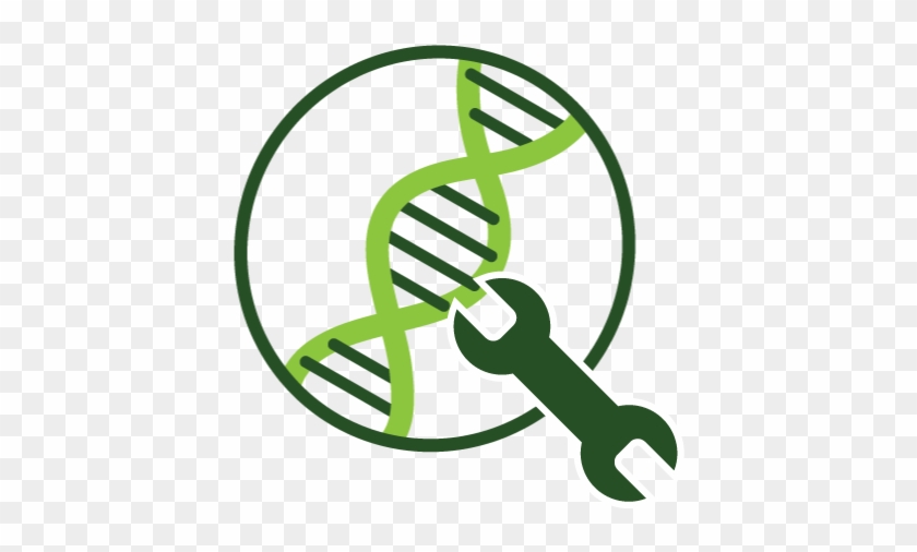 Algae Genetic Engineering #656890
