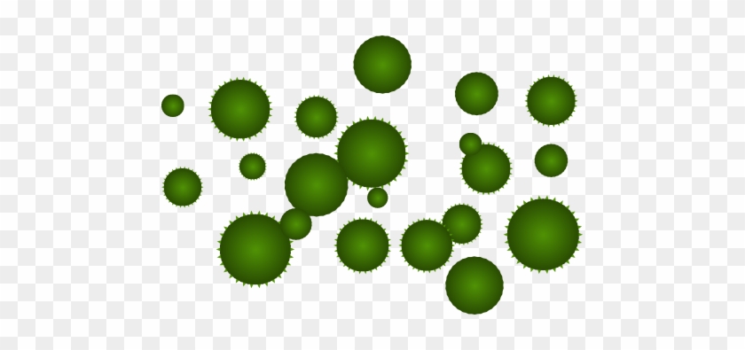 Do You Draw Algae #656911