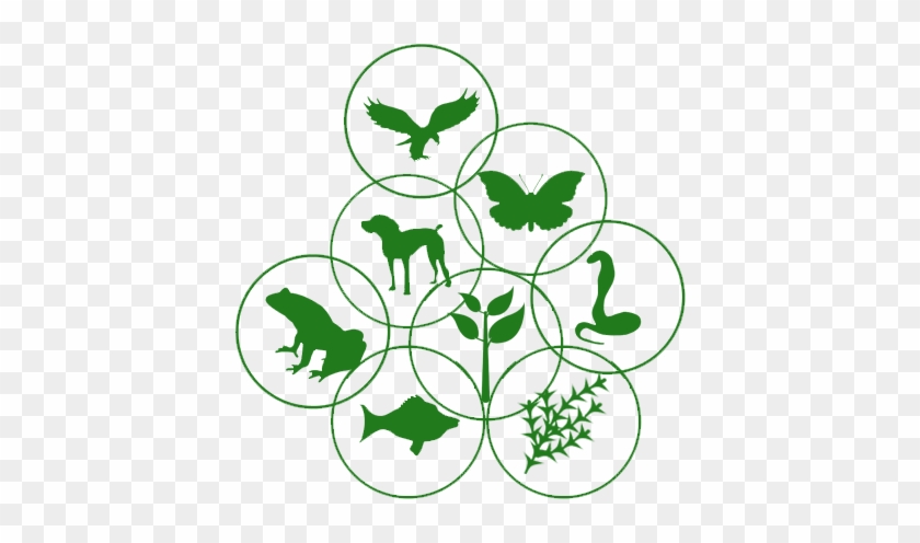 Urban Parks - Biodiversity Symbol Png #657011