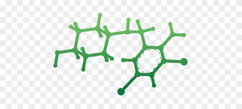 The Original Superfood - Ambroxol #657056