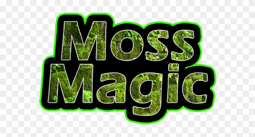 Moss, Algae & Mould Remover 5l - Algae #657125