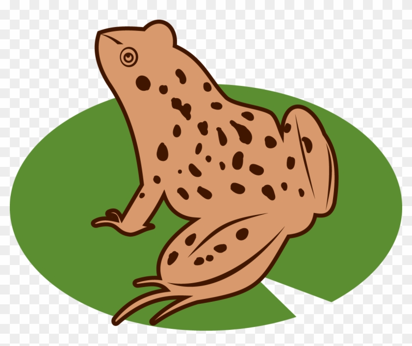 Frog Icon - Frog #657136