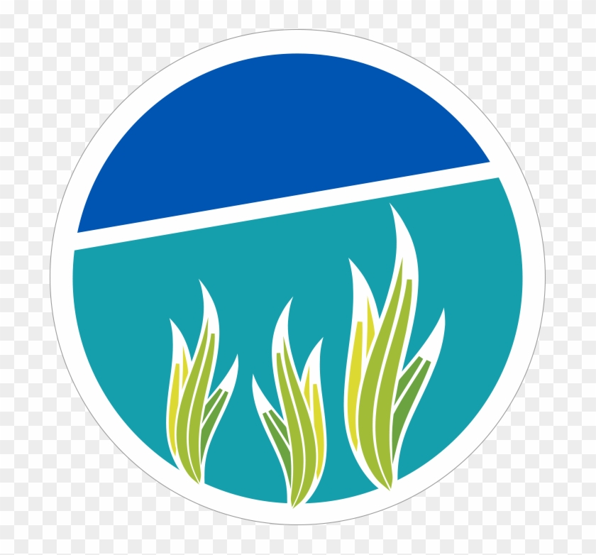 What Is It For - Camera Icon #657158