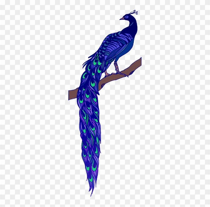 There Is 51 Free Peacock Free Cliparts All Used For - There Is 51 Free Peacock Free Cliparts All Used For #657936