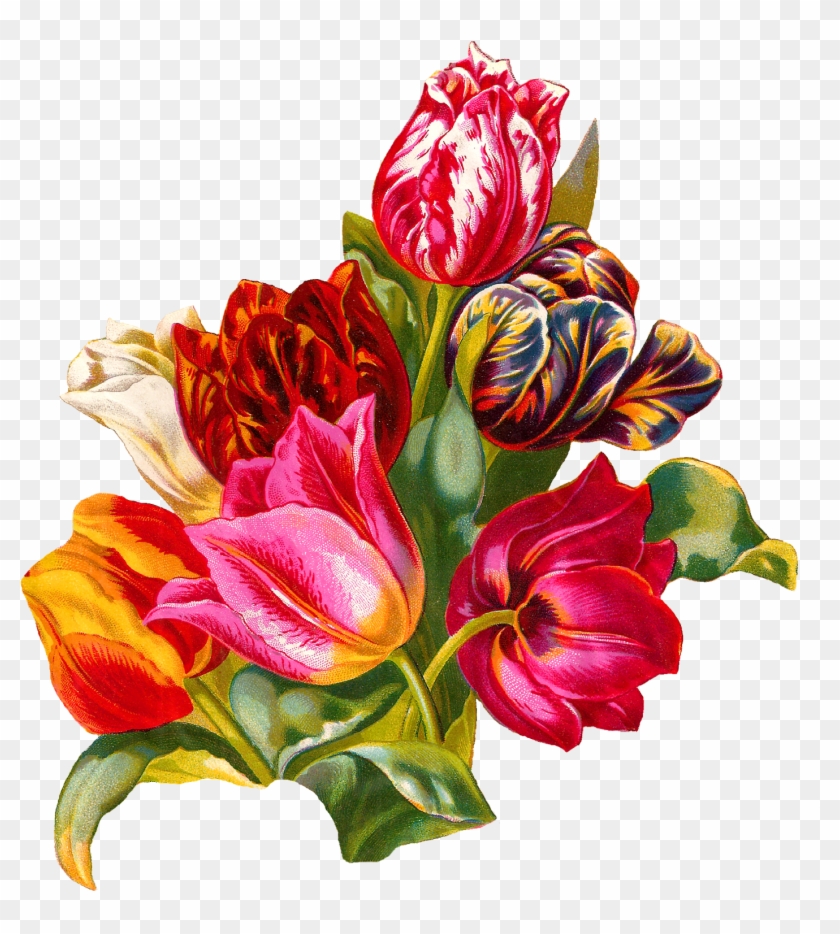 I Created This Digital Botanical Artwork Clip Art From - Tulip Flower Png #657989