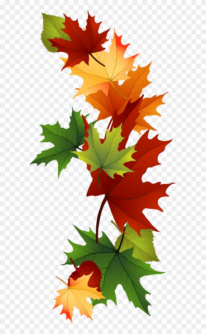 Leaf Fall Leaves Clip Art Beautiful Autumn Clipart - Vermont-laub-tasse Tasse #657991