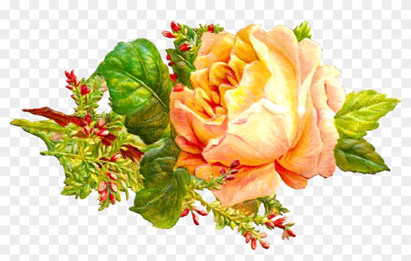 Digital Flower Downloads - Hybrid Tea Rose #658051