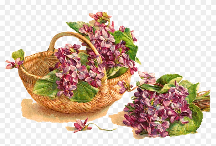 Flower Violet Basket Download Image - Bouquet #658088