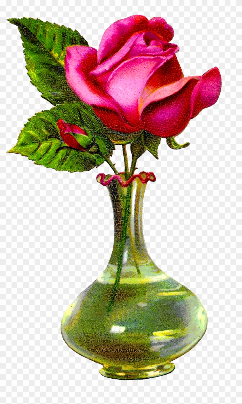 Digital Flower Vase Download - Rose In A Vase #658116