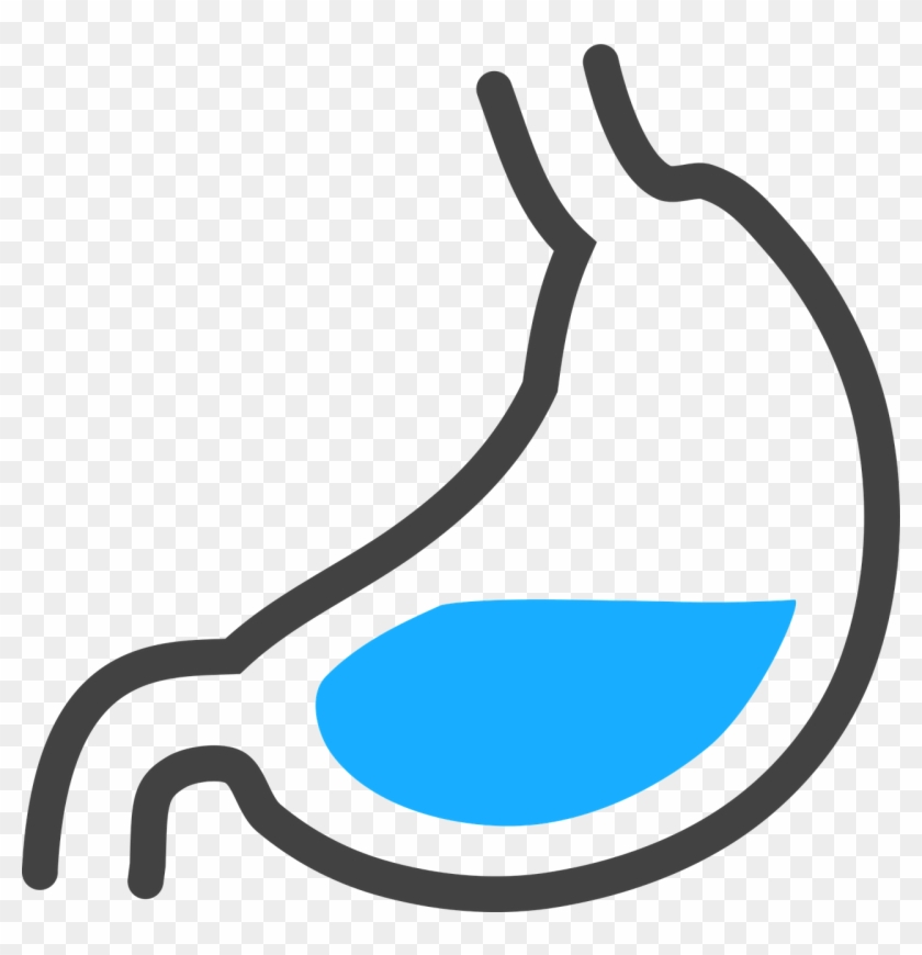 Too Little Stomach Acid - Stomach Png #658222