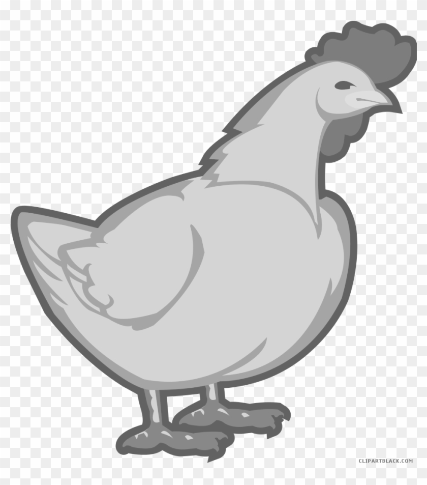 Chicken Animal Free Black White Clipart Images Clipartblack - Clip Art #658314