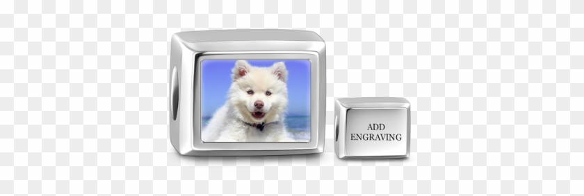 Cuboid Engraved Photo Charm Silver - Happy White Finnish Lapphund Puppy Dog Portrait Journal: #659366