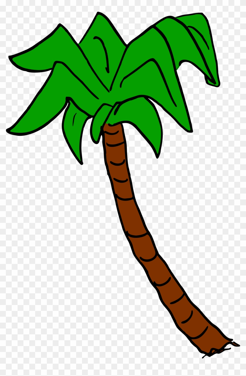 Palm Tree 6 - Palm Trees #659521