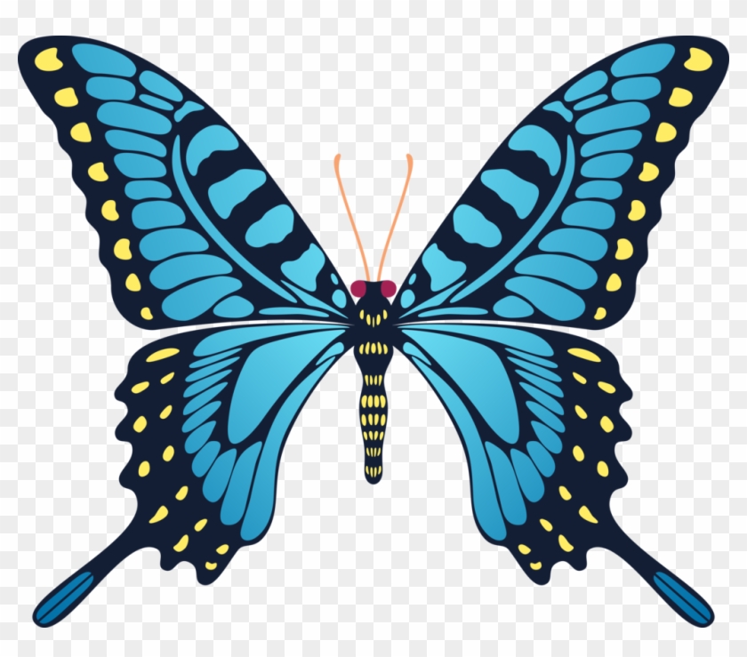 Blue Yellow Butterfly By Cencerberon - Gif Animation Butterfly Flying #659803