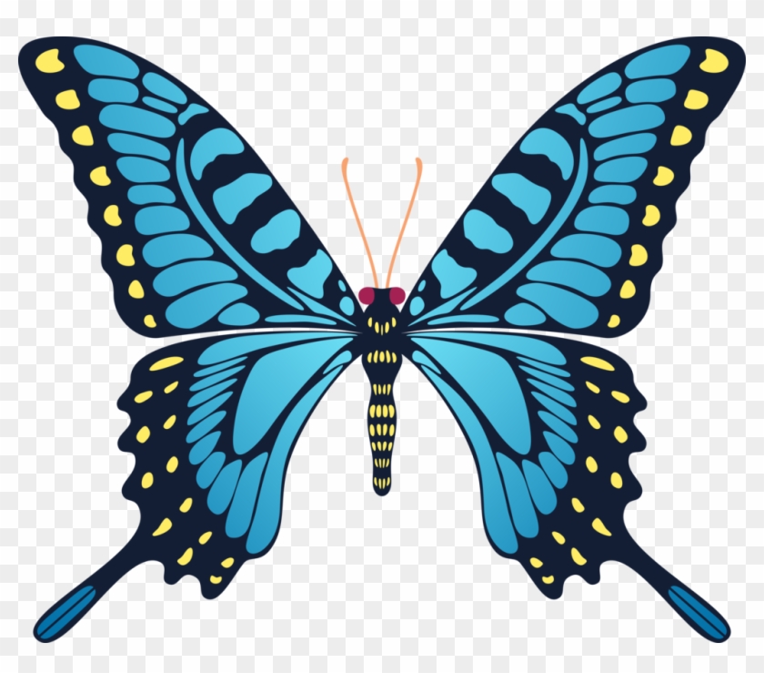 Blue Yellow Butterfly By Cencerberon - Gif Animation Butterfly Flying #659803