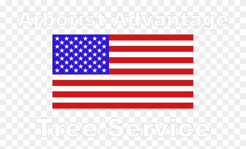 Picture - Black And White American Flag Png #660179