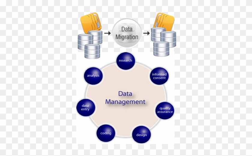 Data Entry - Importance Of Data Management #660286