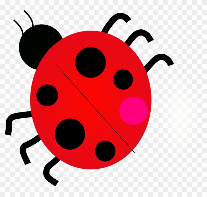 Drawn Lady Beetle June Bug - Many Legs Does A Ladybug Have #660387