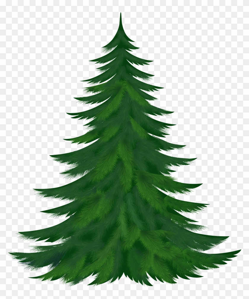 Christmas Tubes Fir Branches Pine Tree Clipart Png Free