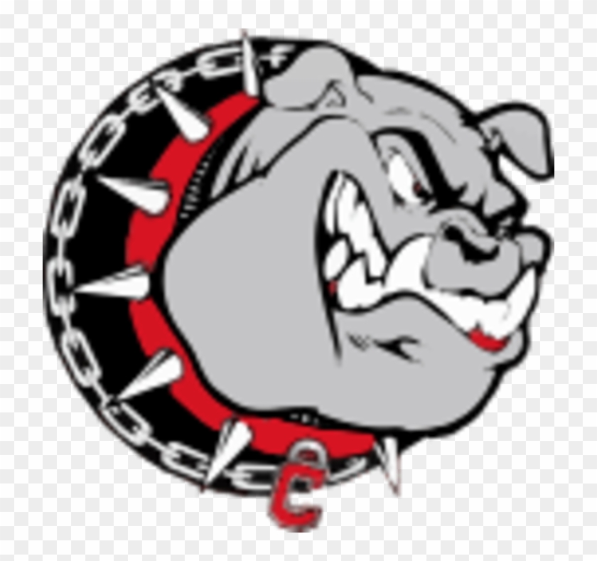 Cache Bulldogs - Cache Public Schools #661097