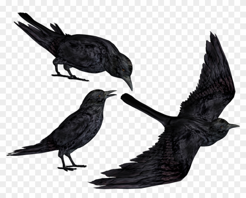 Crow Png Transparent Images Free Download Clip Art - Crow Png Hd #661666