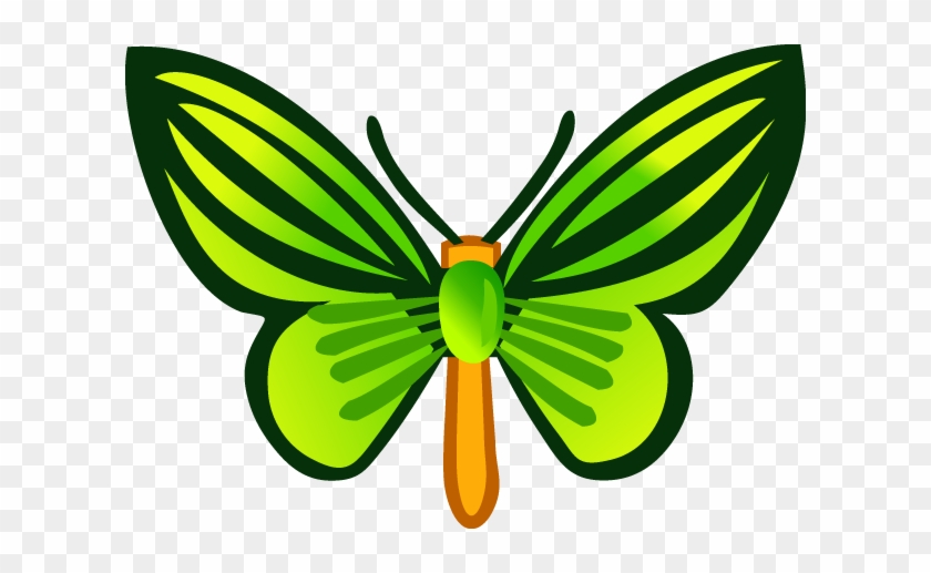Free Vector Free Vector Butterfly - Vector Graphics #661668