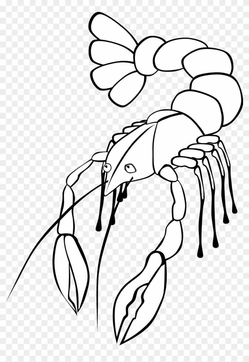 Crawfish Coloring Page - Crawfish Clip Art #661762