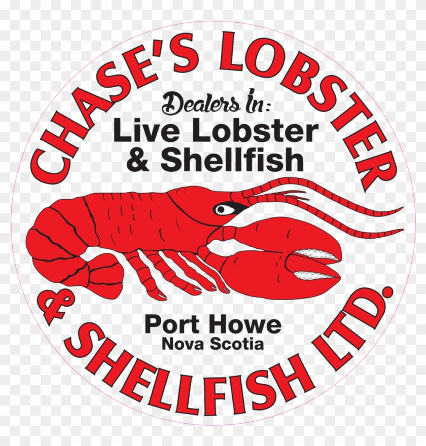 Chases Reflec Logo[4377] - Chases Reflec Logo[4377] #661769