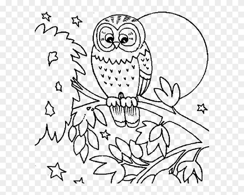 Free Printable Coloring Pages Of Owls - Owls Coloring Pages Printable #661803
