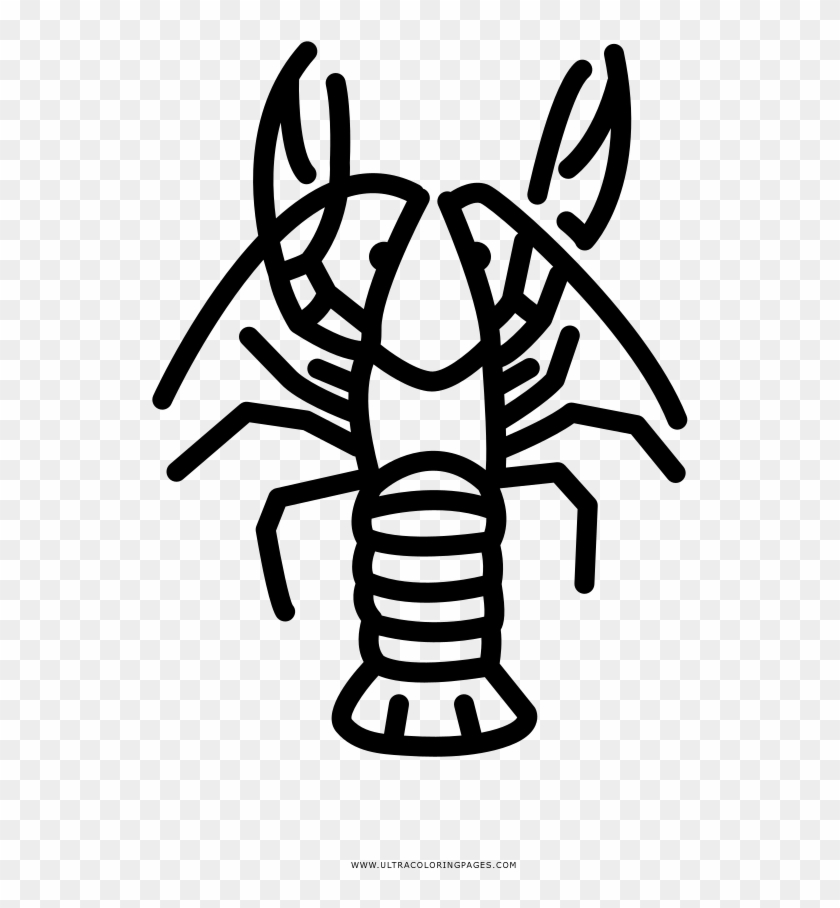 Gambero Disegni Da Colorare - Crayfish #661830
