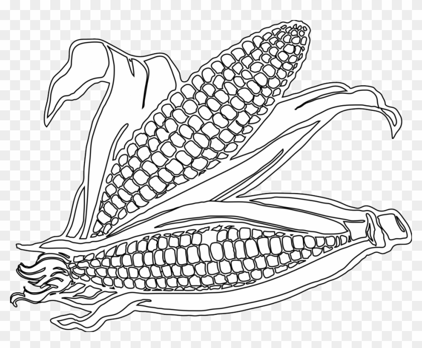 Corn Drawing Image At Getdrawings Com Free For Personal - Free Printable Corn Coloring Pages #661898