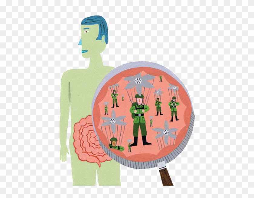 Illustration Of A Man With His Intestines Magnified - Illustration #662014