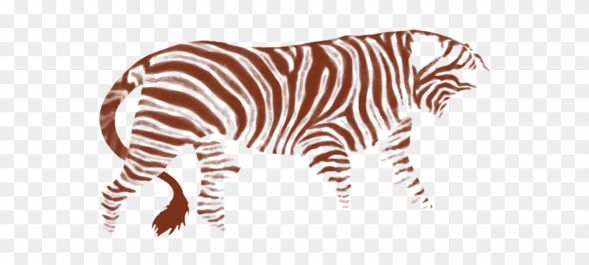 Zebra #662087