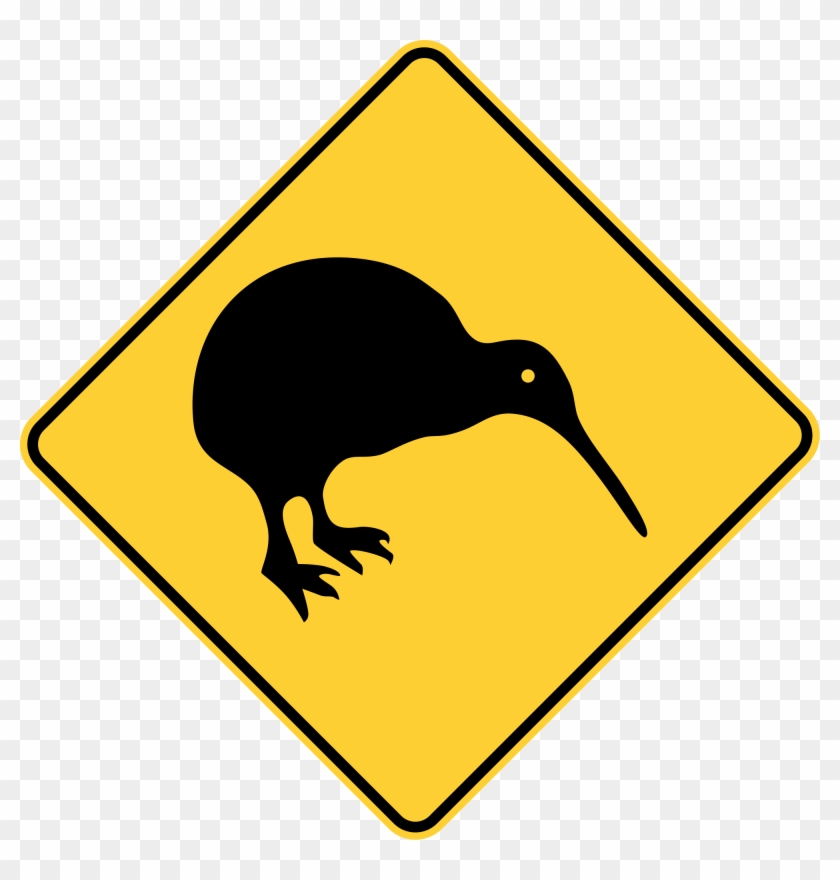 Open - Kiwi #662449