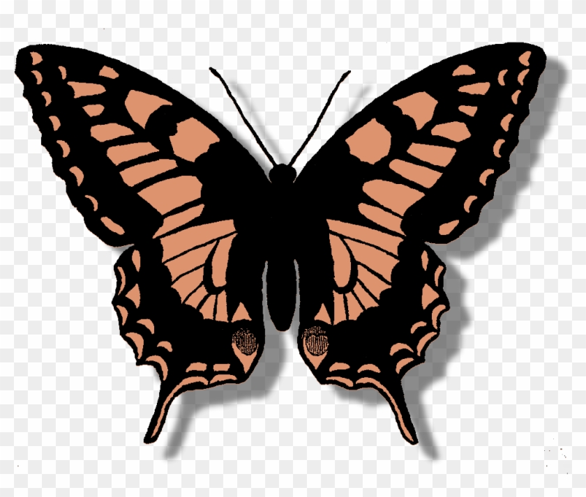 Butterfly Digital Clip Art Download Silhouette - Butterfly Designs For Scrapbook #662489