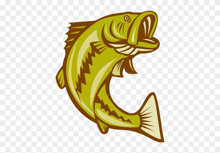 Cropped Lake Ozark Fishing Guide - Largemouth Bass Cartoon #662853