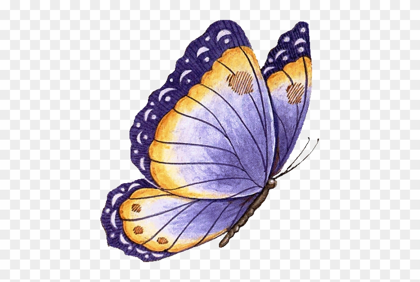 Butterfly - Dessin Pastel Papillon #662951