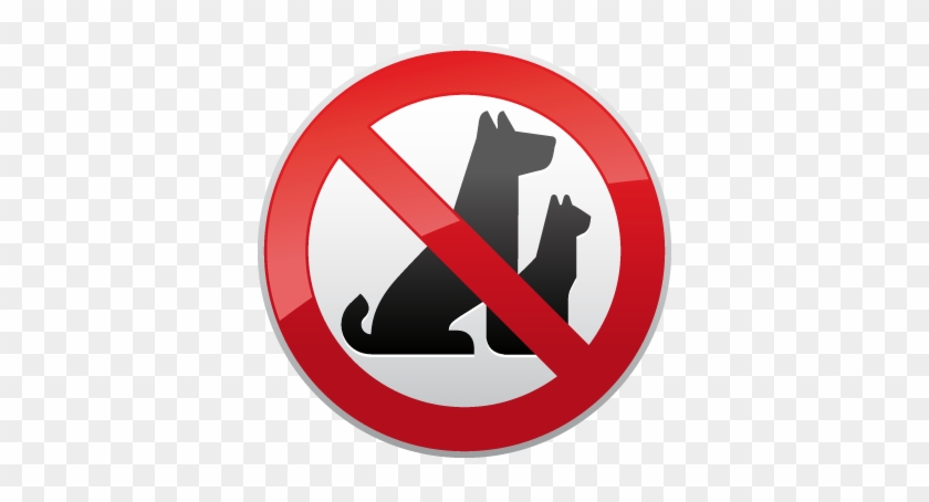 Pin No Pets Clipart - No Pets Sign #663011